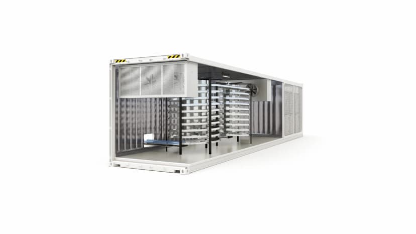 What is IQF freezing? A guide to portable IQF freezers