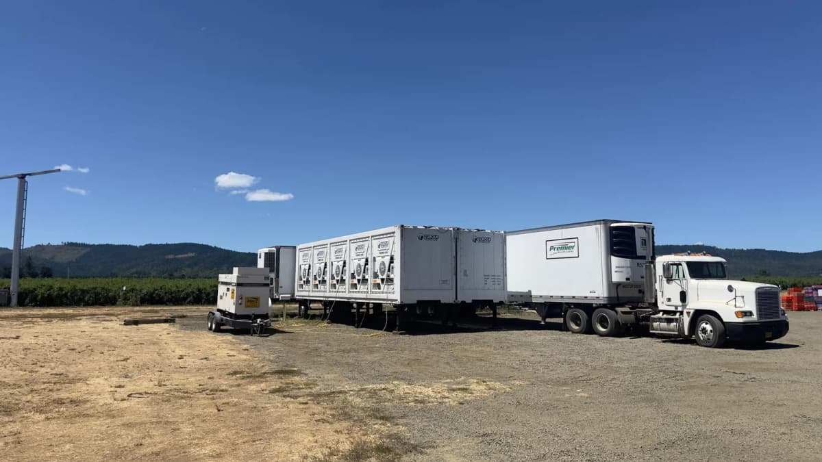 ZGROUP Boosts Blueberry Quality in Oregon with High-Speed Pre-Cooling Technology
