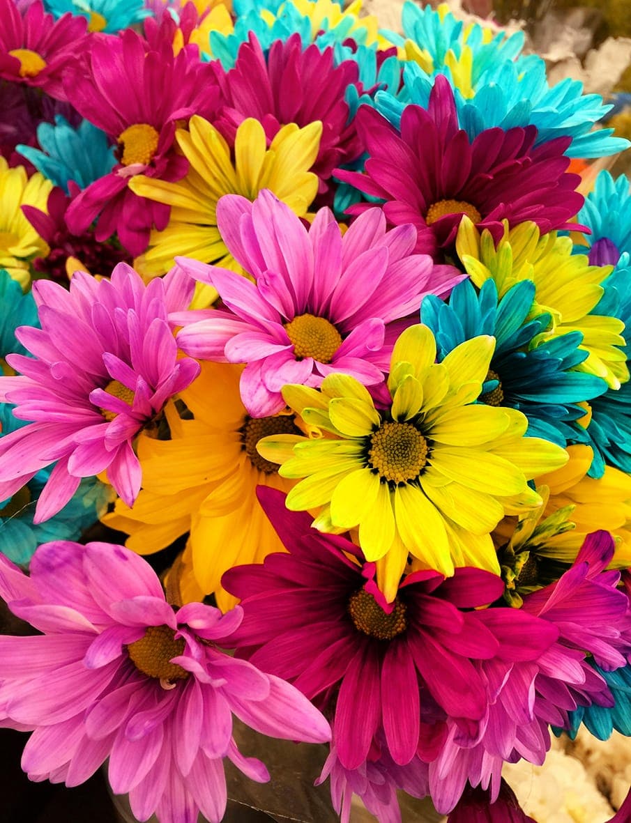 Flowers