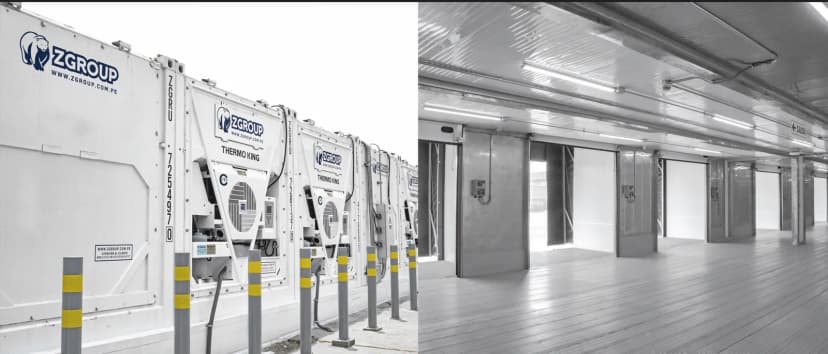 8 Reasons to Choose Modular Cold Storage Over Traditional Systems