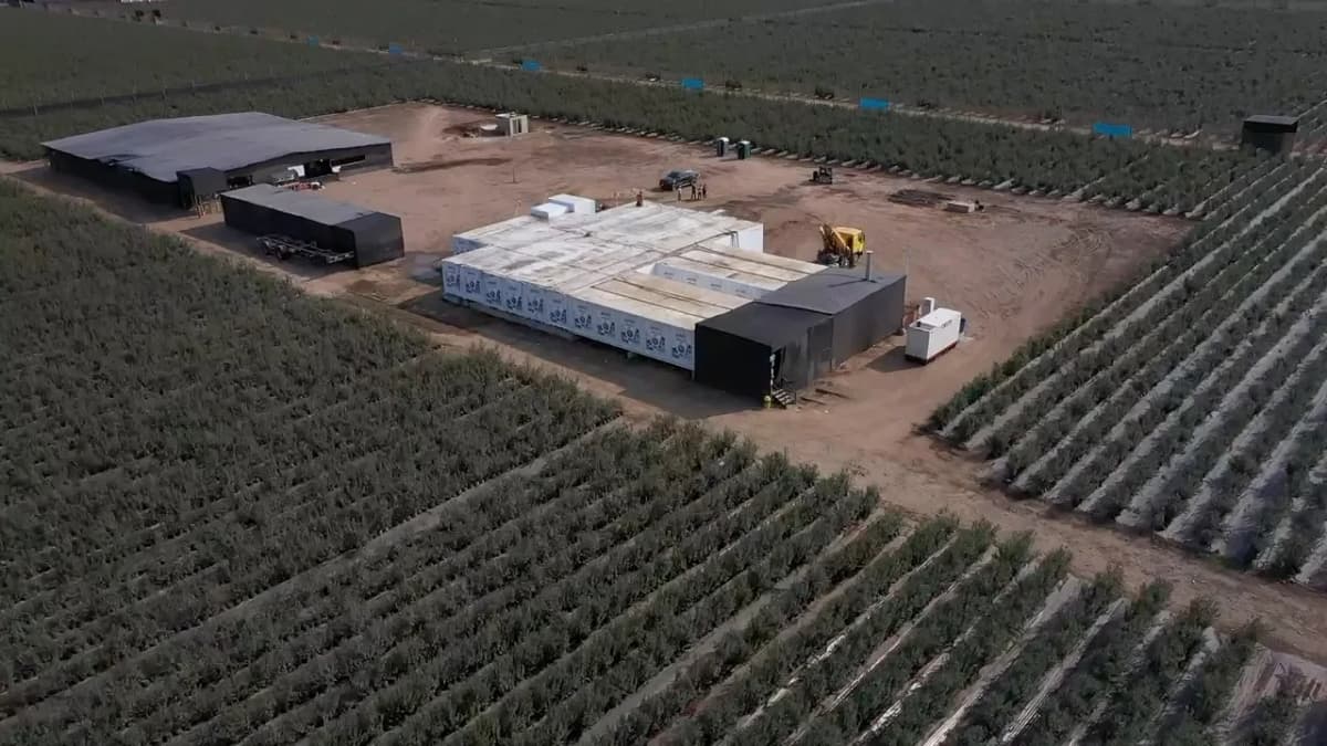 Cooling & Packing Facility — Cayaltí, Peru