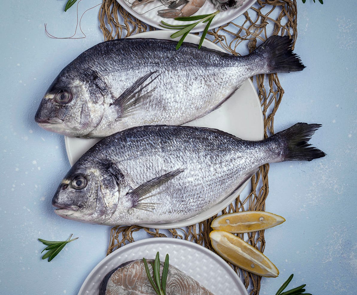 Seafood