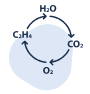 atmosphere management-icon